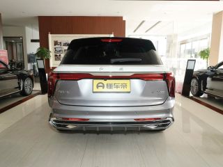 Hongqi E-HS9 2021 — фото 4 из 20