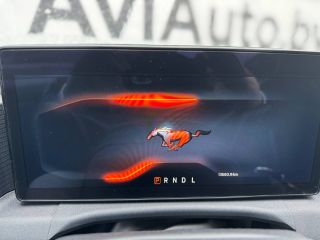 Ford Mustang Coupe 2023 — фото 13 из 13