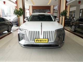 Hongqi E-HS9 2021 — фото 2 из 20