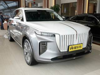 Hongqi E-HS9 2021 — фото 17 из 20