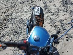 Triumph Bonneville 2018 — фото 5 из 8