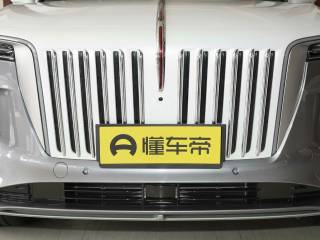 Hongqi E-HS9 2021 — фото 8 из 20