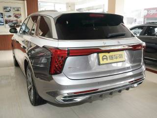 Hongqi E-HS9 2021 — фото 12 из 20